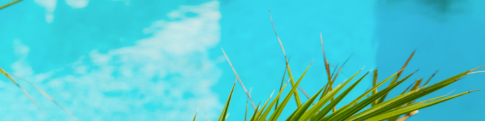plan-piscine-econome-eau
