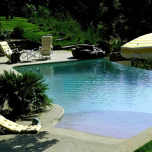 Piscine de forme libre avec plage immergée en pente douce et ambiance naturelle