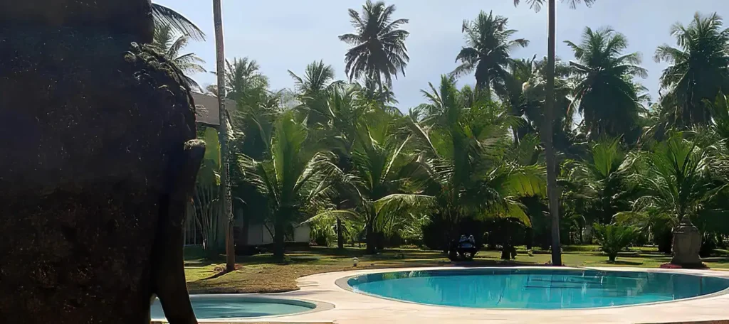 Pisicne miroir Assinie - Cote Ivoire