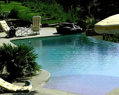 Piscine de forme libre avec plage immergée en pente douce et ambiance naturelle